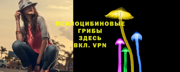 a pvp Протвино